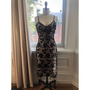 Lace Overlay Cocktail Dress